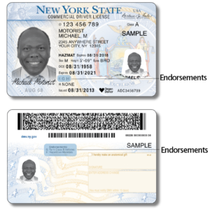 buy New York driving license