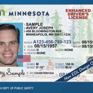 Buy Minnesota driver's license