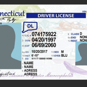 buy Connecticut driving license