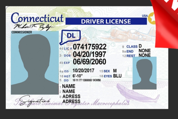 buy Connecticut driving license