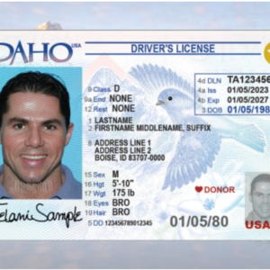 buy Idaho driving license online