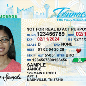 buy Tennessee driving license online