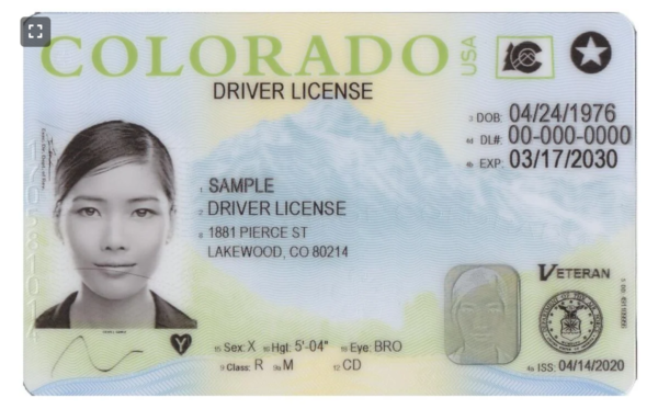 driver’s license